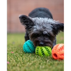 Dog Toy ElasticityTeeth Ball