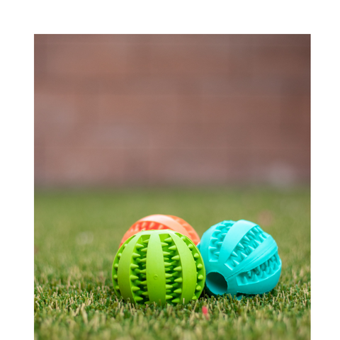 Dog Toy ElasticityTeeth Ball