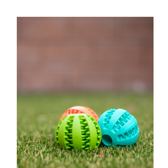 Dog Toy ElasticityTeeth Ball