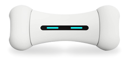 iBone Pro