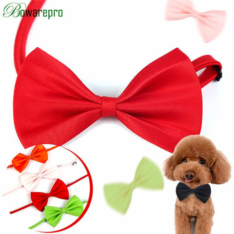 Dapper Pet Bow Necktie - K-9 Universe Pet Bow Necktie
