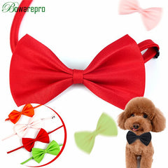 Dapper Pet Bow Necktie - K-9 Universe Pet Bow Necktie