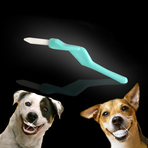 Pet Toothpicks Tooth Brush